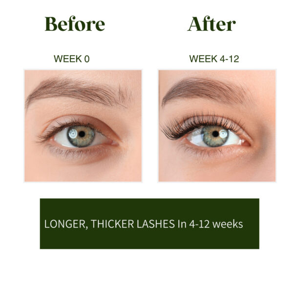 GAJACO Organic Castor Oil Eyelash Growth Serum For Eyelashes and Eyebrows with Mascara Tube Filled with Premium Cold Pressed, Hexane Free Castor Oil - Image 3